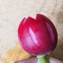 ラディッシュ 花 飾り切り レシピ 作り方 By Yoshi Original 楽天レシピ ラディッシュ 花 飾り切り レシピ 作り方 By Yoshi Original 楽天レシピ